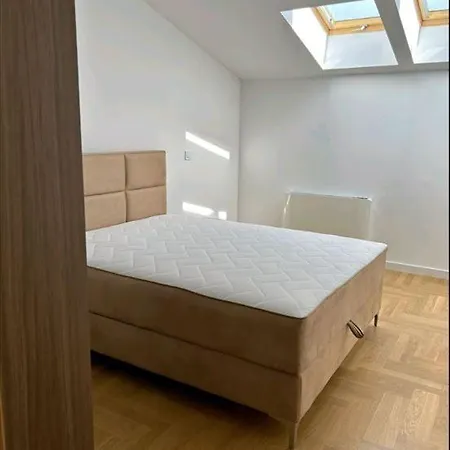 Apartment Dorcol Lux 170 M2 *